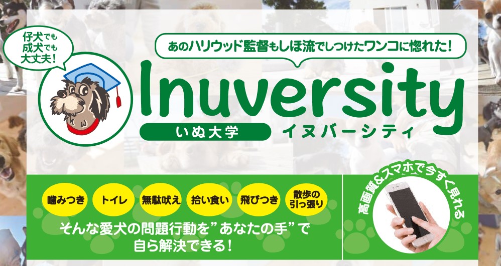 イヌバーシティ