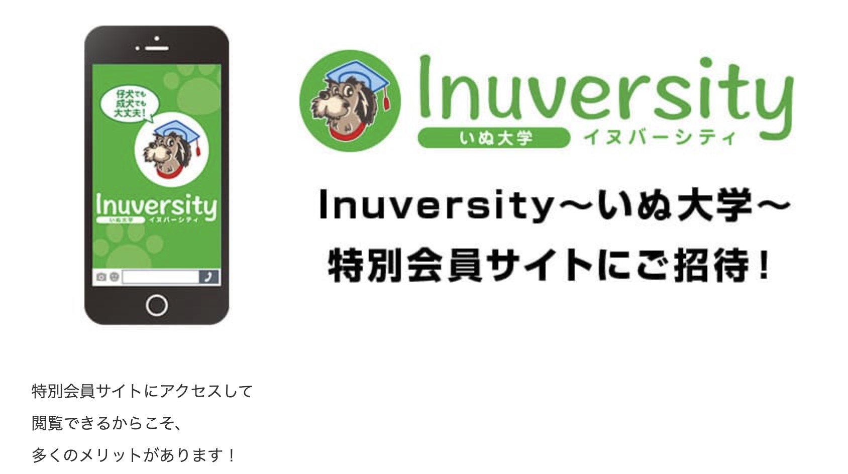イヌバーシティの特典